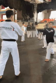 Humor -  Fun Sports Martial Arts Gamelle - Fail 