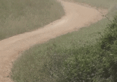 Umorismo -  Fun Trasporti Macchine Rally Fail Crash 