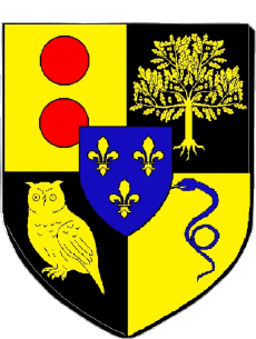 Blasón-Banderas Francia Departamentos - Ciudades 92 LE PLESSIS ROBINSON 