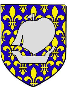 Fahnen Frankreich Abteilungen - Städte 974 SAINT LOUIS 