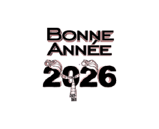 Messages Français Bonne Année 2026 01 