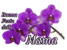 Nachrichten Italienisch Buona Festa della Mamma 05 