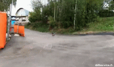 Humour - Fun Sports Skateboard Road Down Hill Fun Win 