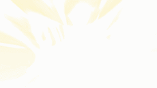 Mensajes Francés Joyeuses Fêtes (Noël) Video 