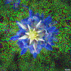 Humour - Fun GIF Artistes Bill Tavis 