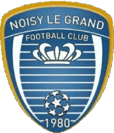 Sports FootBall Club France Ile-de-France 93 - Seine-Saint-Denis Noisy Le Grand FC 