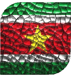Bandiere America Suriname Quadrato 