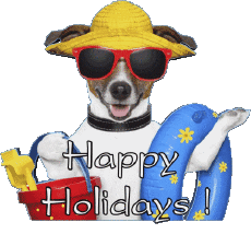 Messagi Inglese Happy Holidays Sfondo trasparente 03 