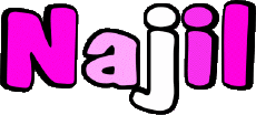 Prénoms MASCULIN - Maghreb Musulman N Najil 