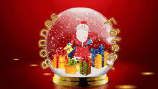 Messagi Francese Bonnes Fêtes (Noël) Video 
