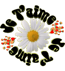 Messages Français Je T'aime 05 