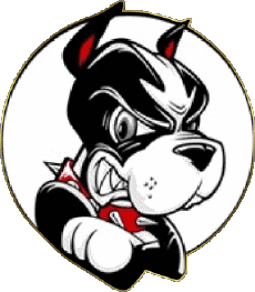 Sportivo N C A A - D1 (National Collegiate Athletic Association) B Boston University Terriers 