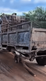 Umorismo -  Fun Trasporti Camion Accident Crash Fail 03 