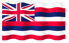 Bandiere America U.S.A - Stati Hawaii Sventola 