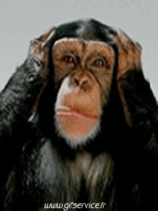 Humor - Fun Animales Monos 01 