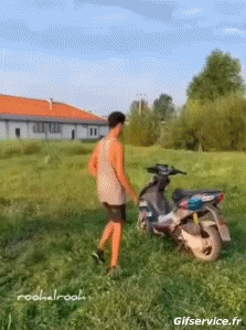 Humor -  Fun Tiere Elefanten 01 