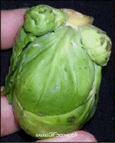 Humour - Fun Morphing - Ressemblance People - Vip Série 01 