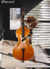 Humour - Fun Animaux Chats Serie 05 