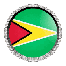 Flags America Guyana Round - Rings 