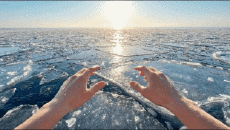 Humor -  Fun A.I Mix Dream Ocean 