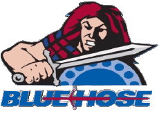 Sports N C A A - D1 (National Collegiate Athletic Association) P Presbyterian Blue Hose 