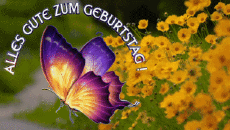 Mensajes Alemán Alles Gute zum Geburtstag Schmetterlinge Fondo animado 004 