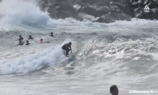 Humour - Fun Sports Surf Gamelle Fail 