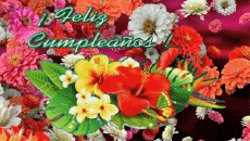 Messages Espagnol Feliz Cumpleaños Floral Fond Animé 003 