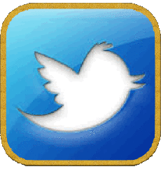 Multimedia Computer - Internet Twitter 