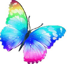 Messages Français Bon Anniversaire Papillons Fond Transparent 005 