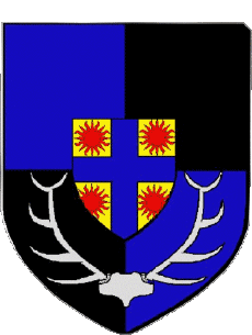 Blason-Drapeaux France Départements - Villes 41 CHEVERNY 