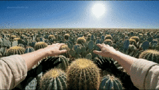 Humour - Fun I.A Mix Ocean de Reve 