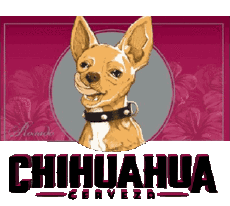 Getränke Bier Mexiko Chihuahua-Cerveza 
