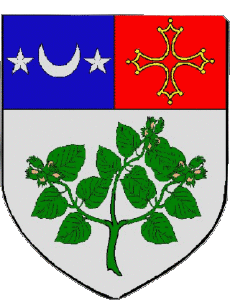 Drapeaux France Départements - Villes 09 LAVELANET 