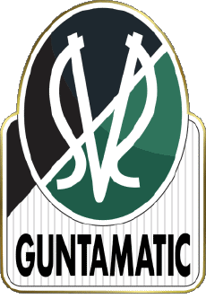 Sport Fußballvereine Europa Logo Österreich SV Ried 
