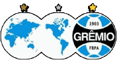 1983-Sports Soccer Club America Brazil Grêmio  Porto Alegrense 1983
