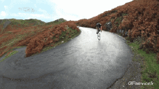 Humor -  Fun Sports Cycling - Bike Fun Win 