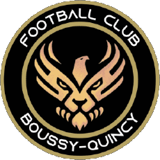 Sports FootBall Club France Ile-de-France 91 - Essonne Boussy-Quincy FC 