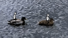 Humour - Fun GIF Artistes @Eclectech 