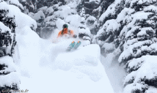 Humor - Fun Deportes Esquí Free Ride Fun Win 