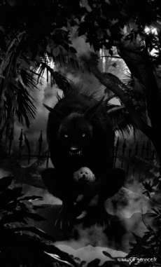 Humor -  Fun 3d Effects Stéreoscopique Wiggle 