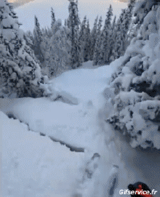 Humor -  Fun Sports Ski Free Ride Fail - Gamelles 