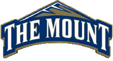 Deportes N C A A - D1 (National Collegiate Athletic Association) M Mount St. Marys Mountaineers 