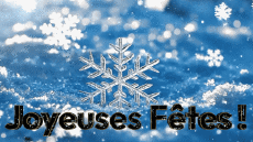 Nachrichten Französisch Joyeuses Fêtes (Noël) Video 