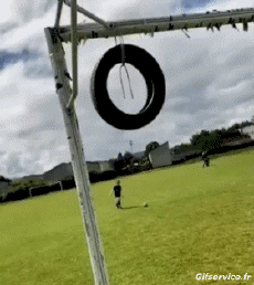 Humor - Fun Deportes Fútbol Win 