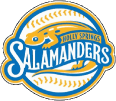 Deportes Béisbol U.S.A - CPL - Coastal Plain League Holly Springs Salamanders 