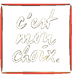 Multimedia Emissioni TV Show France TV  Reportage Magazine C'est mon choix 