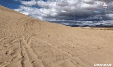 Humor - Fun Transporte Motocicletas Cross Gamelles Fail 