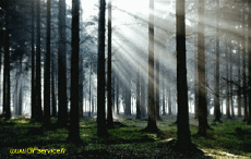 Humour - Fun 3D Effets Stéreoscopique Wiggle avec Matrice 