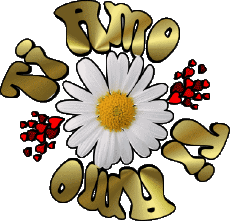 Messages Italien Ti Amo 04 